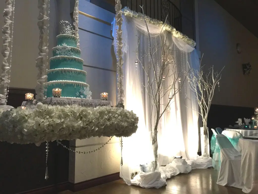 Winter themed cake for Quince - hanging cake