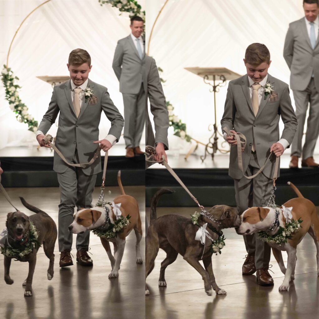 Ways to Include Your Dog in Your Wedding - dogs kissing in ceremony aisle
