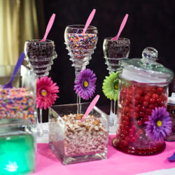 004-denver-weddings-ice-cream011