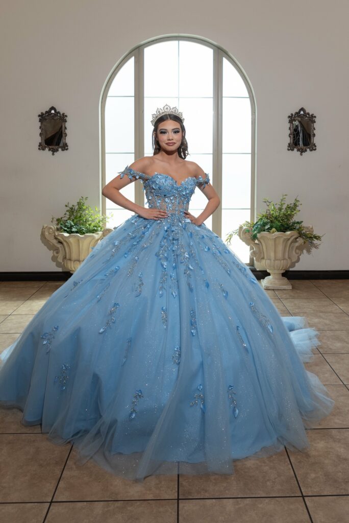 Quinceanera venues Denver CO - gown by window