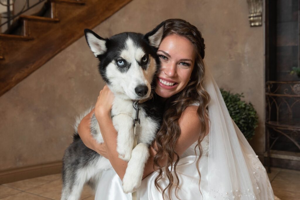 Wedding Dog of Honor Husky